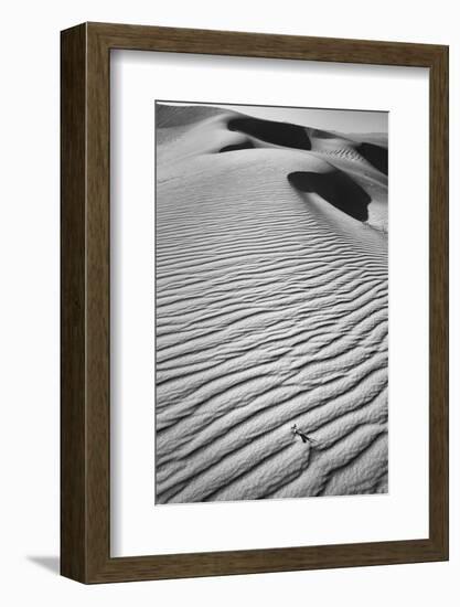 California, Mojave Trails National Monument-Judith Zimmerman-Framed Photographic Print