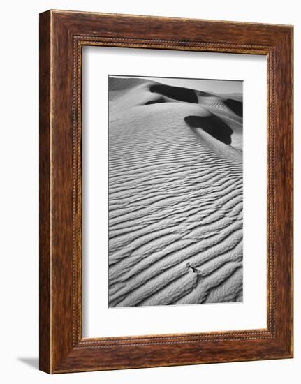 California, Mojave Trails National Monument-Judith Zimmerman-Framed Photographic Print