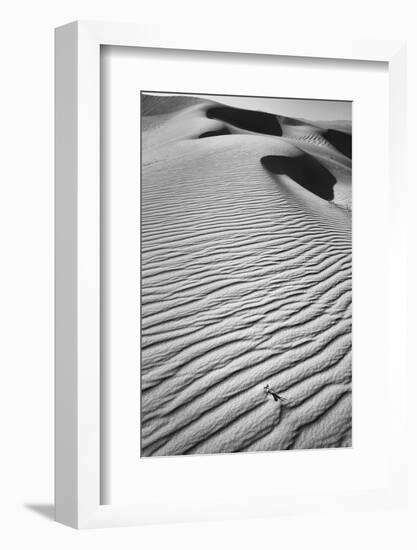 California, Mojave Trails National Monument-Judith Zimmerman-Framed Photographic Print