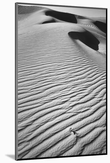 California, Mojave Trails National Monument-Judith Zimmerman-Mounted Photographic Print