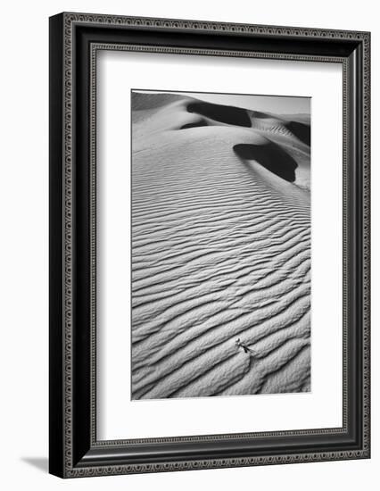 California, Mojave Trails National Monument-Judith Zimmerman-Framed Photographic Print