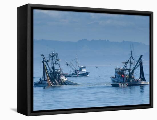 California, Monterey, Fishing Boats, USA-Alan Copson-Framed Premier Image Canvas