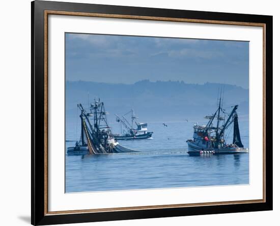 California, Monterey, Fishing Boats, USA-Alan Copson-Framed Photographic Print