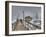 California, Morro Bay, Morro Rock, USA-Alan Copson-Framed Photographic Print