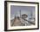 California, Morro Bay, Morro Rock, USA-Alan Copson-Framed Photographic Print