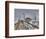 California, Morro Bay, Morro Rock, USA-Alan Copson-Framed Photographic Print