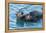 California, Morro Bay. Sea Otter Parent and Pup-Jaynes Gallery-Framed Premier Image Canvas