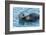 California, Morro Bay. Sea Otter Parent and Pup-Jaynes Gallery-Framed Photographic Print