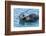 California, Morro Bay. Sea Otter Parent and Pup-Jaynes Gallery-Framed Photographic Print