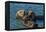 California, Morro Bay. Sea Otter Parent and Pup-Jaynes Gallery-Framed Premier Image Canvas