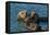 California, Morro Bay. Sea Otter Parent and Pup-Jaynes Gallery-Framed Premier Image Canvas