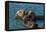 California, Morro Bay. Sea Otter Parent and Pup-Jaynes Gallery-Framed Premier Image Canvas