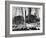 California Oil Co. Drilling Operations on Derrick Off Louisiana Coast-Margaret Bourke-White-Framed Photographic Print