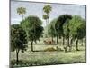 California Orange Grove, 1890s-null-Mounted Giclee Print