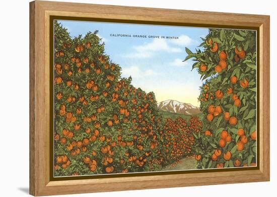 California Orange Grove in Winter-null-Framed Stretched Canvas