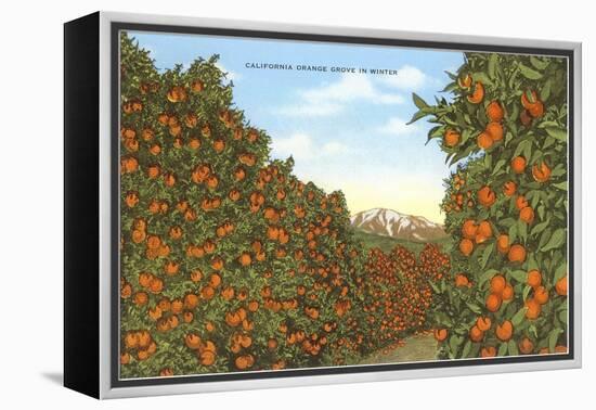 California Orange Grove in Winter-null-Framed Stretched Canvas