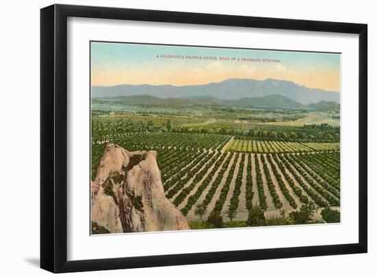 California Orange Grove-null-Framed Art Print