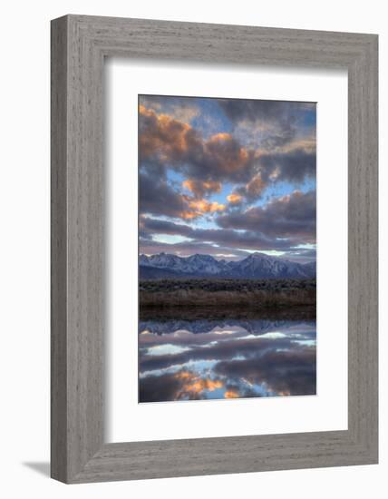 California, Owens Valley. Sierra Crest Seen from Buckley Ponds at Sunset-Jaynes Gallery-Framed Photographic Print