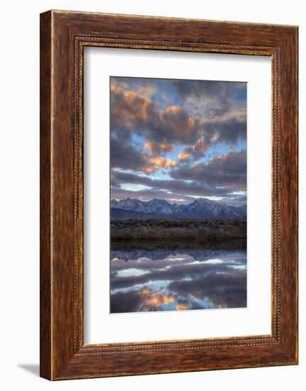 California, Owens Valley. Sierra Crest Seen from Buckley Ponds at Sunset-Jaynes Gallery-Framed Photographic Print