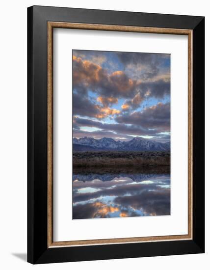 California, Owens Valley. Sierra Crest Seen from Buckley Ponds at Sunset-Jaynes Gallery-Framed Photographic Print