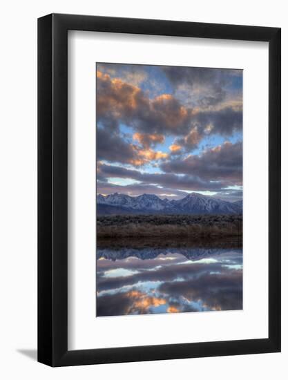 California, Owens Valley. Sierra Crest Seen from Buckley Ponds at Sunset-Jaynes Gallery-Framed Photographic Print