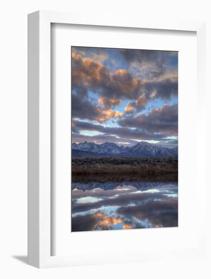 California, Owens Valley. Sierra Crest Seen from Buckley Ponds at Sunset-Jaynes Gallery-Framed Photographic Print