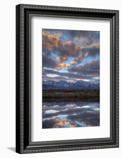 California, Owens Valley. Sierra Crest Seen from Buckley Ponds at Sunset-Jaynes Gallery-Framed Photographic Print
