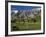 California, Palm Springs, Desert Princess Golf Course and Mountains, Winter, USA-Walter Bibikow-Framed Photographic Print