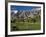 California, Palm Springs, Desert Princess Golf Course and Mountains, Winter, USA-Walter Bibikow-Framed Photographic Print