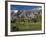 California, Palm Springs, Desert Princess Golf Course and Mountains, Winter, USA-Walter Bibikow-Framed Photographic Print