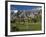 California, Palm Springs, Desert Princess Golf Course and Mountains, Winter, USA-Walter Bibikow-Framed Photographic Print