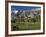 California, Palm Springs, Desert Princess Golf Course and Mountains, Winter, USA-Walter Bibikow-Framed Photographic Print