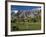 California, Palm Springs, Desert Princess Golf Course and Mountains, Winter, USA-Walter Bibikow-Framed Photographic Print