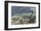 California, Palm Springs, Indian Canyons. California Fan Palm Oasis-Kevin Oke-Framed Photographic Print