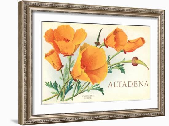 California Poppies, Altadena-null-Framed Art Print