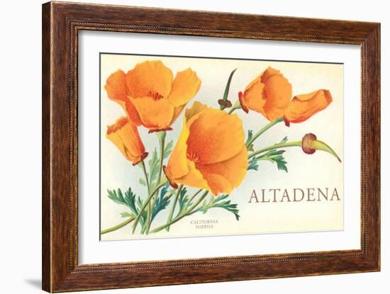 California Poppies, Altadena-null-Framed Art Print