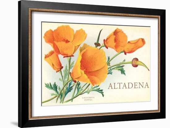 California Poppies, Altadena-null-Framed Art Print