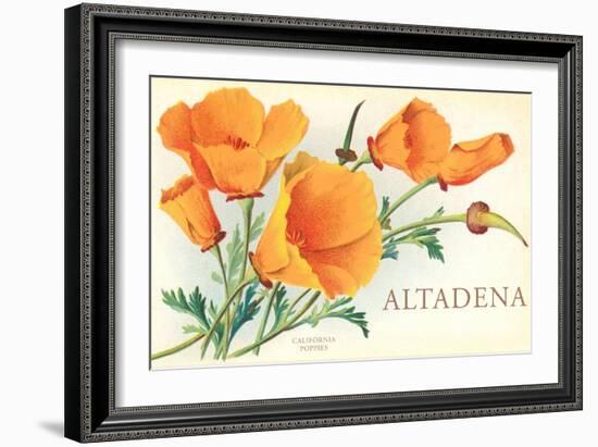 California Poppies, Altadena-null-Framed Art Print