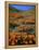 California Poppies and Globe Gilia, Tehachapi Mountains, California, USA-Charles Gurche-Framed Premier Image Canvas