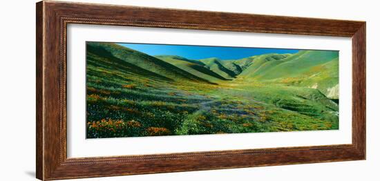 California Poppies and Wildflowers, Near Gorman, California-null-Framed Photographic Print