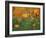 California Poppies, California, Usa-Connie Bransilver-Framed Photographic Print