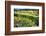 California Poppies In Napa Valley-George Oze-Framed Photographic Print