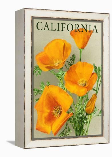 California - Poppies-Lantern Press-Framed Stretched Canvas