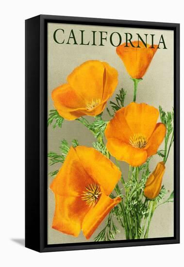 California - Poppies-Lantern Press-Framed Stretched Canvas