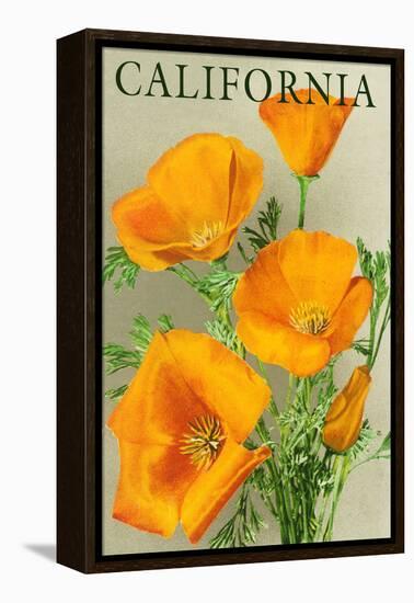 California - Poppies-Lantern Press-Framed Stretched Canvas