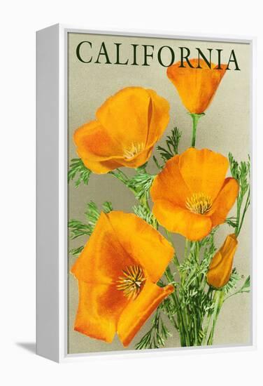 California - Poppies-Lantern Press-Framed Stretched Canvas
