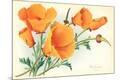 Premium Giclee Print