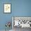 California Poppy Garden II-Judy Stalus-Framed Art Print displayed on a wall