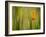 California Poppy in Grass, Paso Robles, California, Usa-Rob Sheppard-Framed Photographic Print