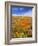 California Poppy Reserve, Lancaster, California, USA-John Alves-Framed Photographic Print